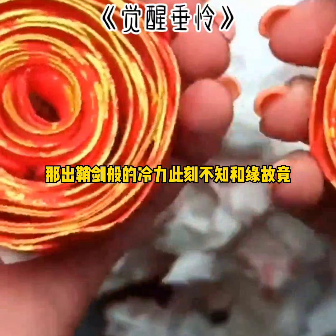 小说大全免费,小说