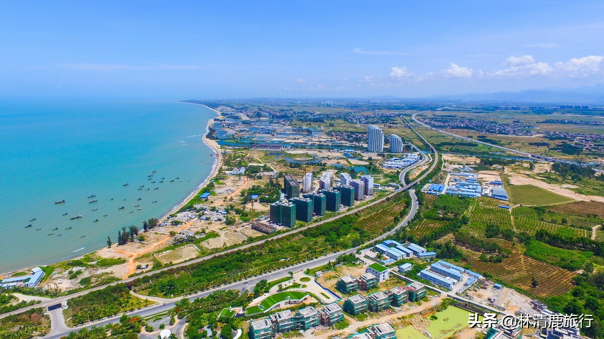 东北人为什么扎堆海南,海南三亚东北人为什么那么多