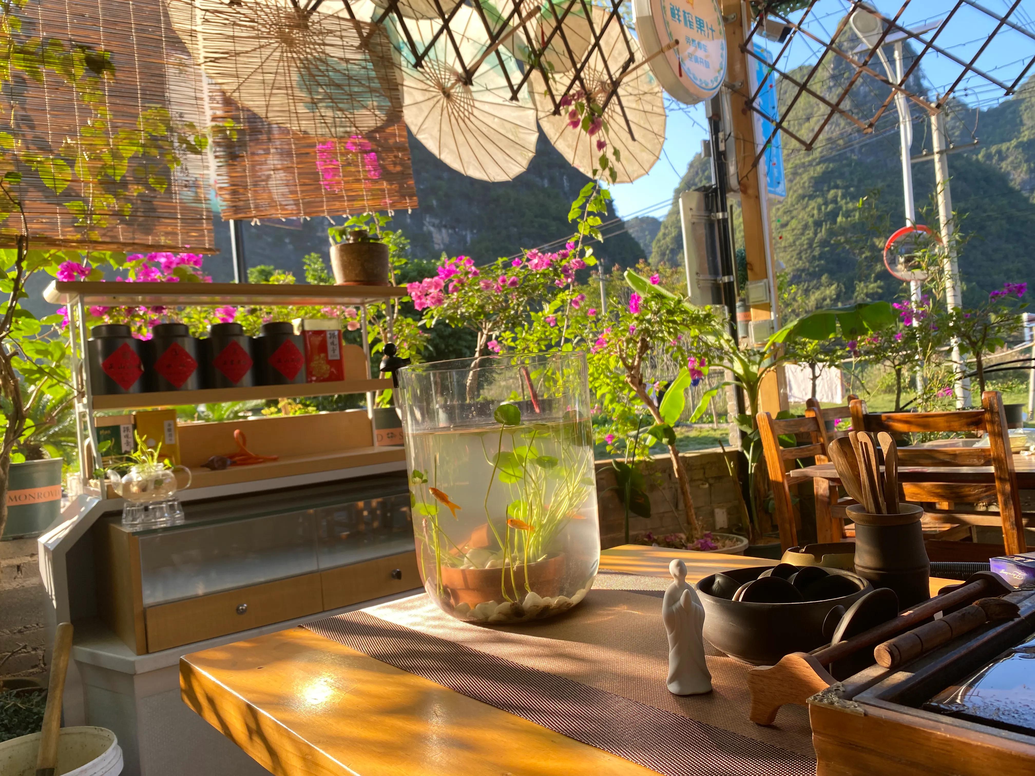 鱼池养金鱼的技巧和方法,小鱼缸养草金鱼的技巧和方法