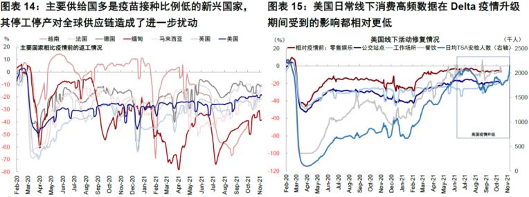 南非发现新冠变异新毒株,南非新冠变种