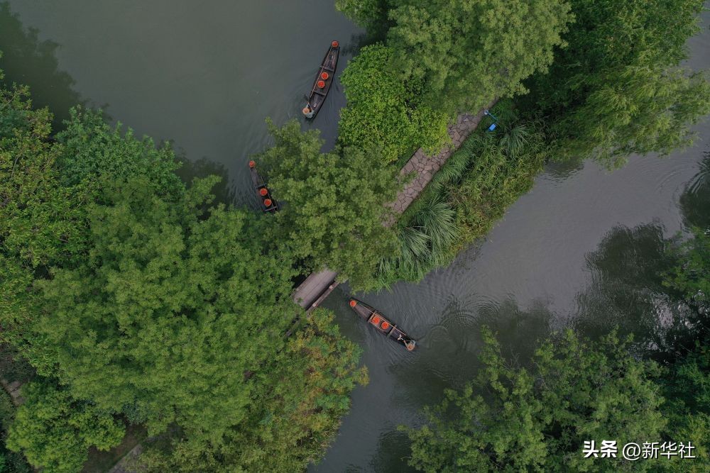 湿地之美惊艳了世界,湿地之美在什么地方