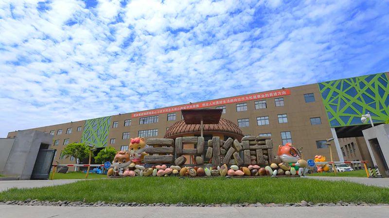 从“快鱼理论”到十年最差财报，三只松鼠来到悬崖边上