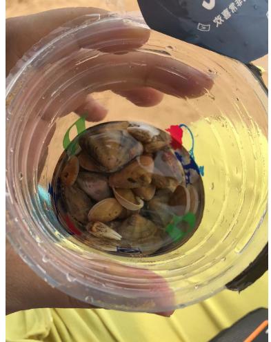 青岛黄岛沙滩,青岛黄岛海边旅游景点大全