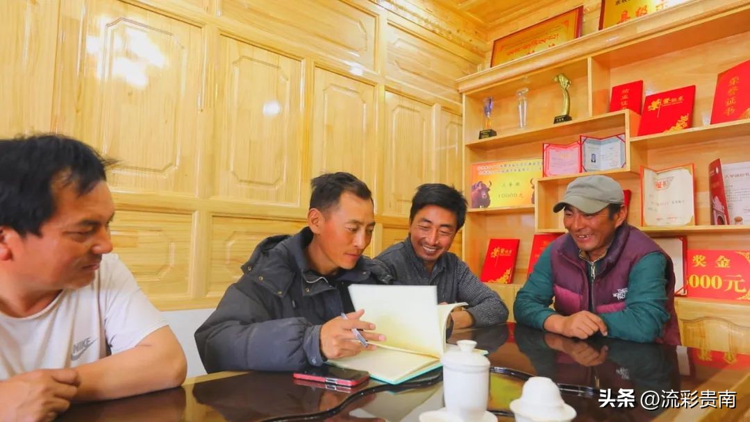 畜牧养殖助推乡村振兴工作,乡村振兴畜牧业