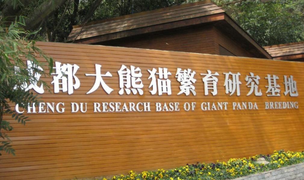 成都周边旅游景点推荐冬季,四川成都十大旅游景点排行榜