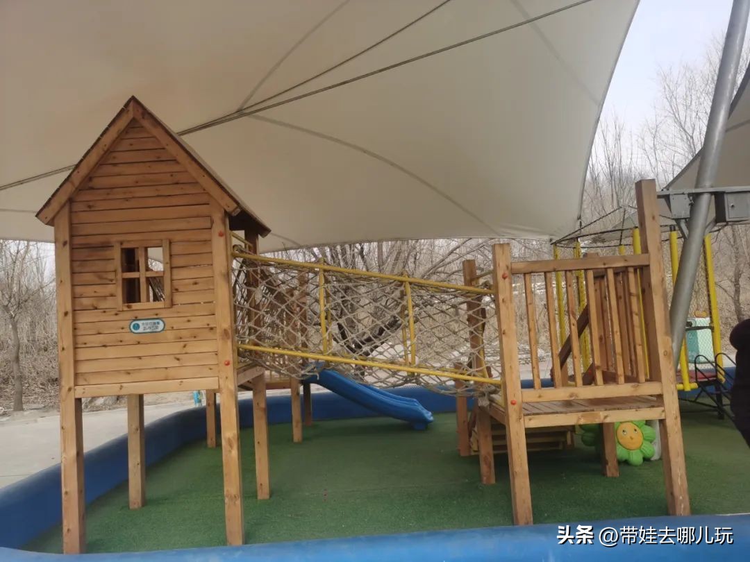 一天玩遍北京野生动物园,包场去鸟巢