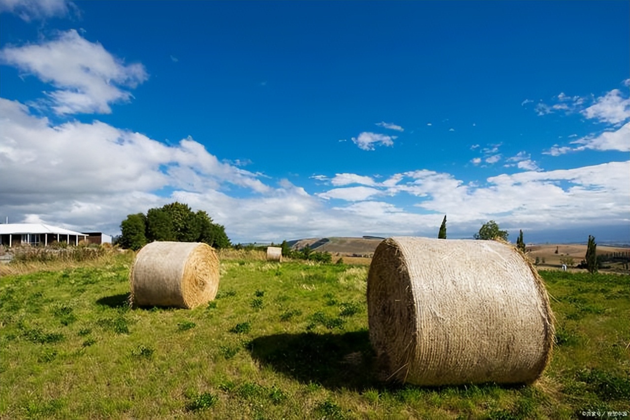 阿尔卑斯山三大北壁,世界地图上有阿尔卑斯山吗