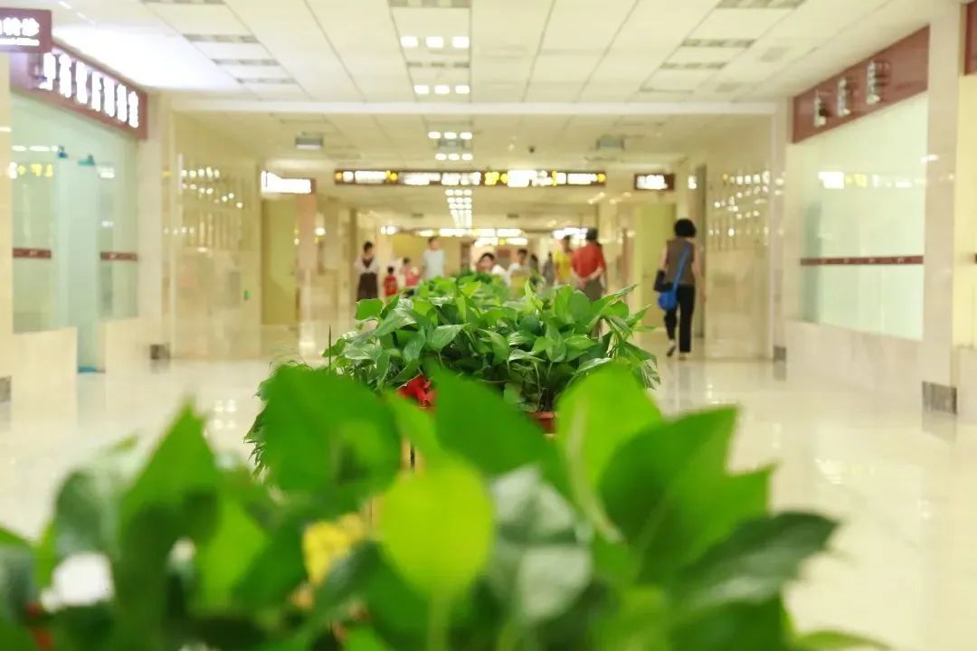 郑州颐和医院二期投资方,郑州颐和医院的老板是谁