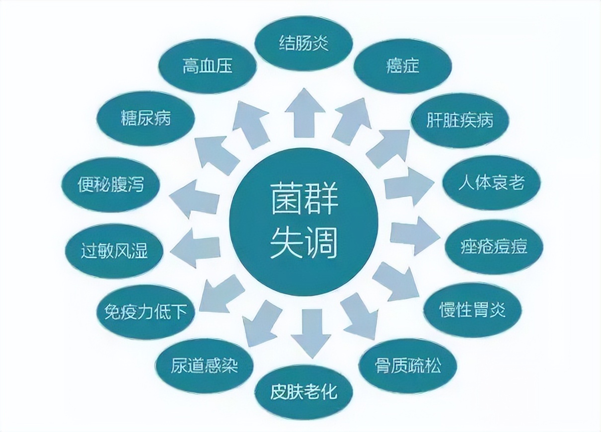 人的粪便可以治病吗,人体粪便能治病吗