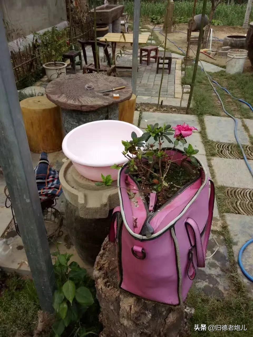 商丘农庄招商,商丘市快乐农庄