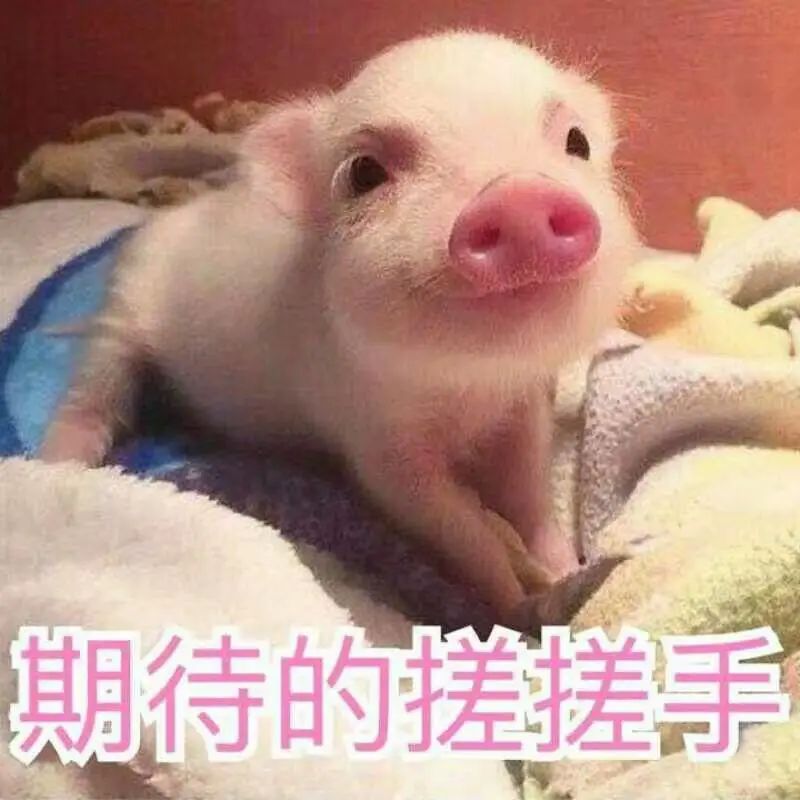 广东这十二所专科将要升本,在广东读专科可以有几次升本机会