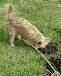 老师上课忘记关投影仪了,女老师上课期间忘记关投影仪