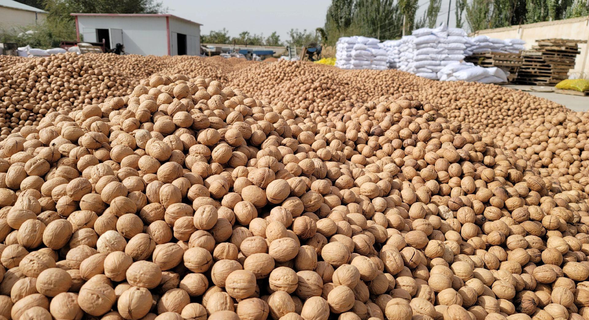 半年能挣20万的副业,月入百万的小商机