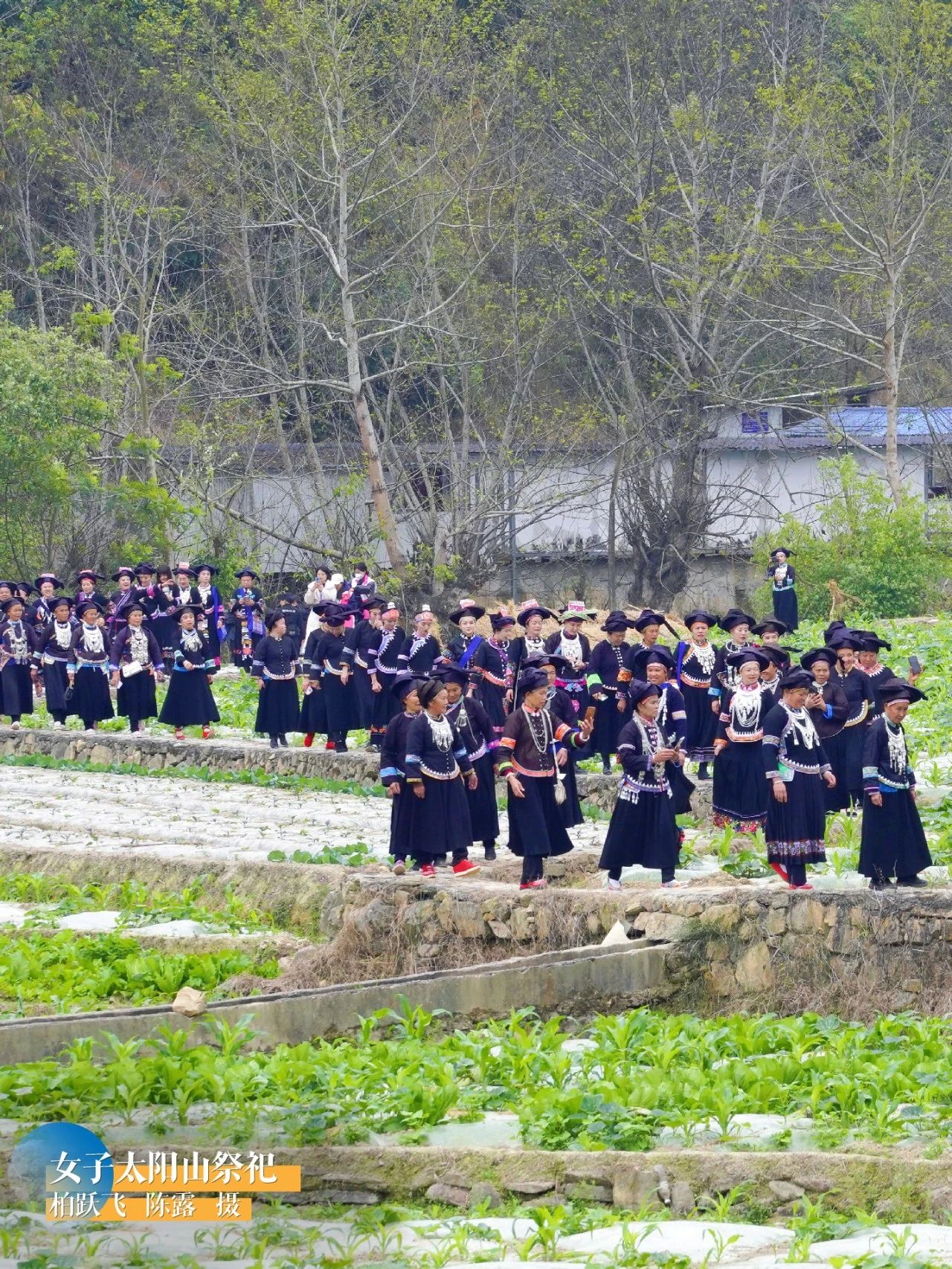 世界花园彩云南丨在云南,好玩的真的太多了!