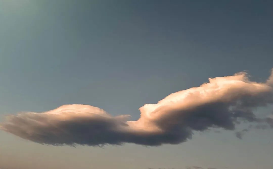 冬季洱海看海鸥最佳地方,这个冬天洱海该有多浪漫