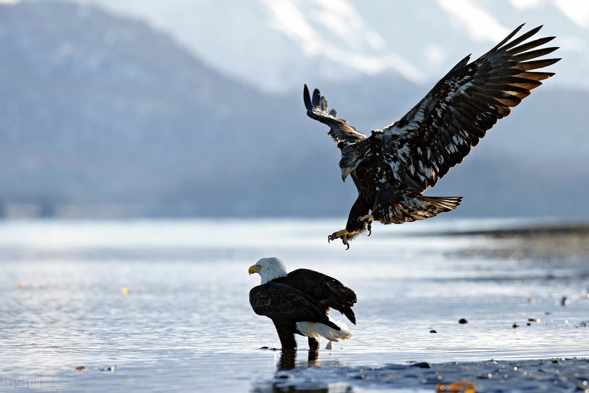 各个国家的国宝大全,世界上的各个国家的国宝