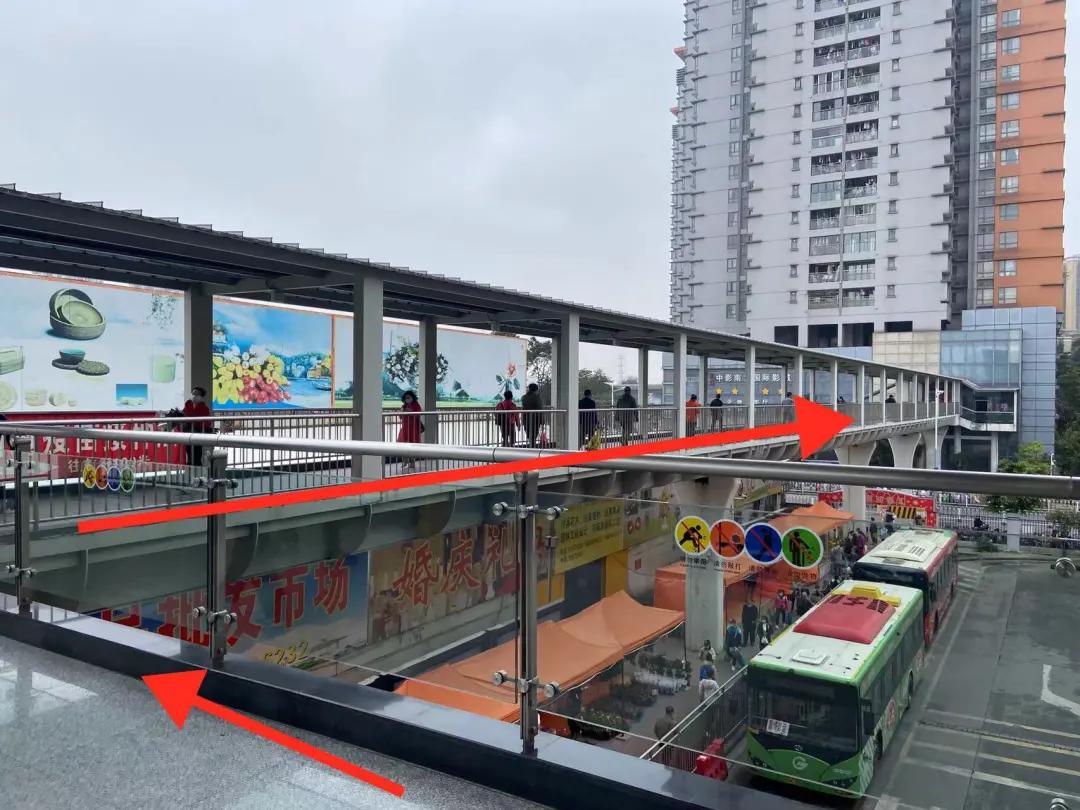 广州芳村花卉市场开市,广州岭南花卉天光墟开市时间