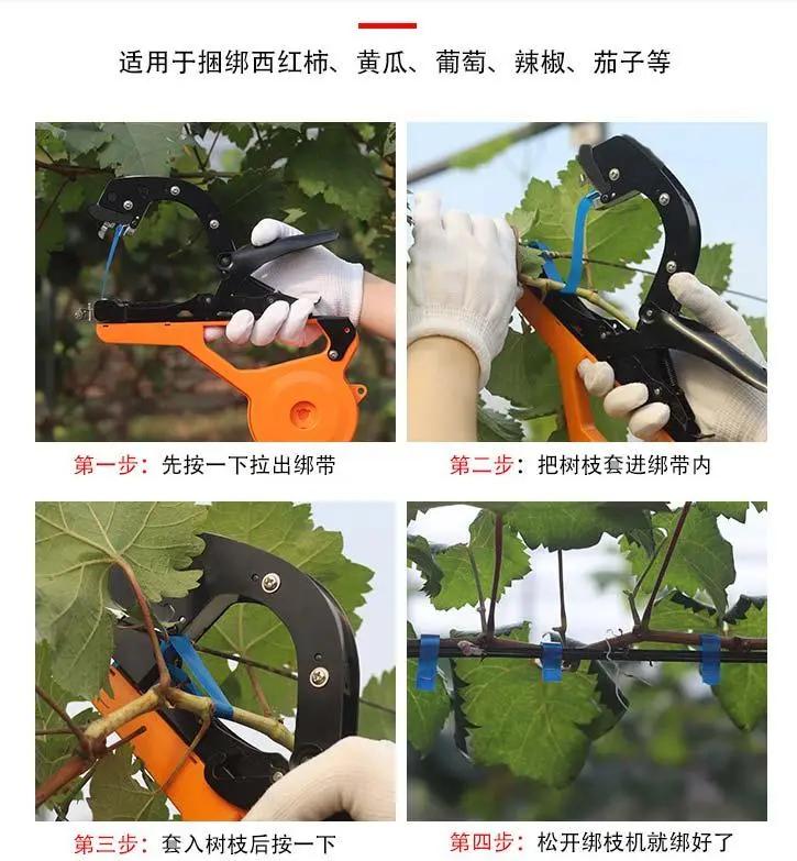 五更绑枝机对比老款绑枝器