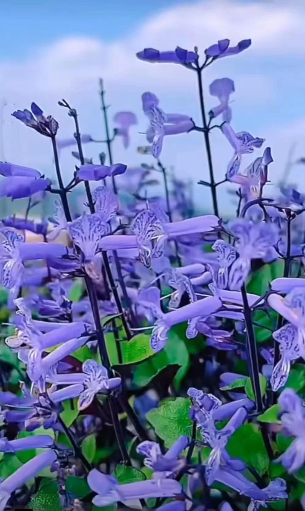 自我疗伤自我自愈文案,自我疗伤自我自愈