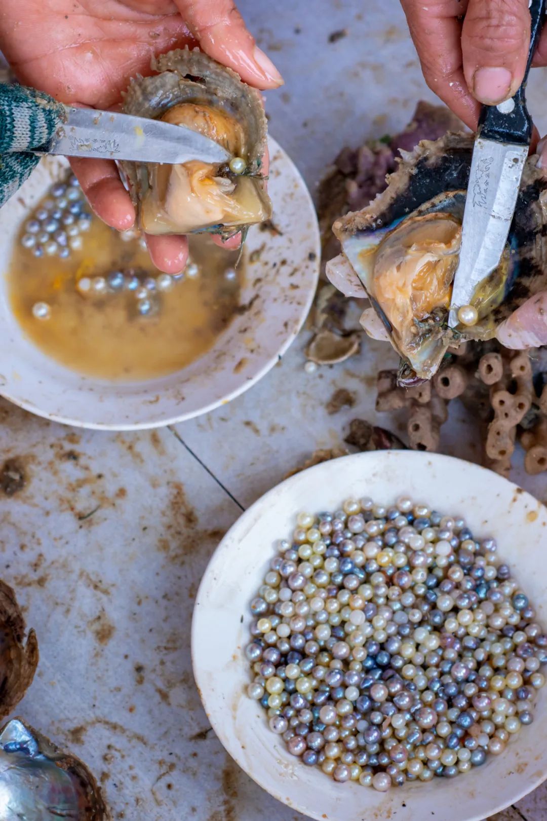 广西海鲜最好的城市,广西沿海第一大城市