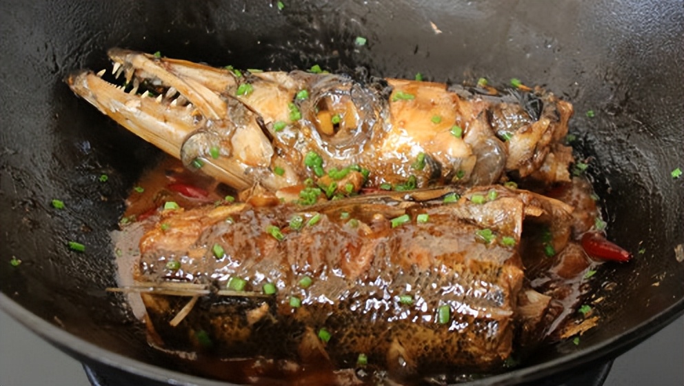 十种颜值最高的鱼,这些长相奇怪的鱼你认识几条