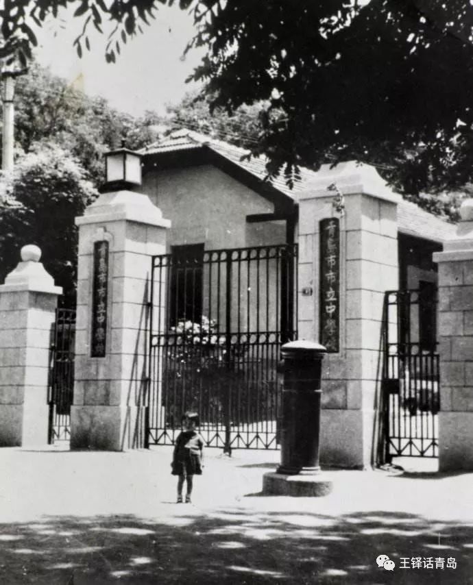 王铎一蓑烟雨,王铎长篇回忆录一蓑烟雨