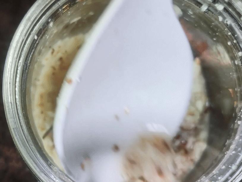 桂花米酒酒香浓郁,中秋桂花酒怎么酿得好