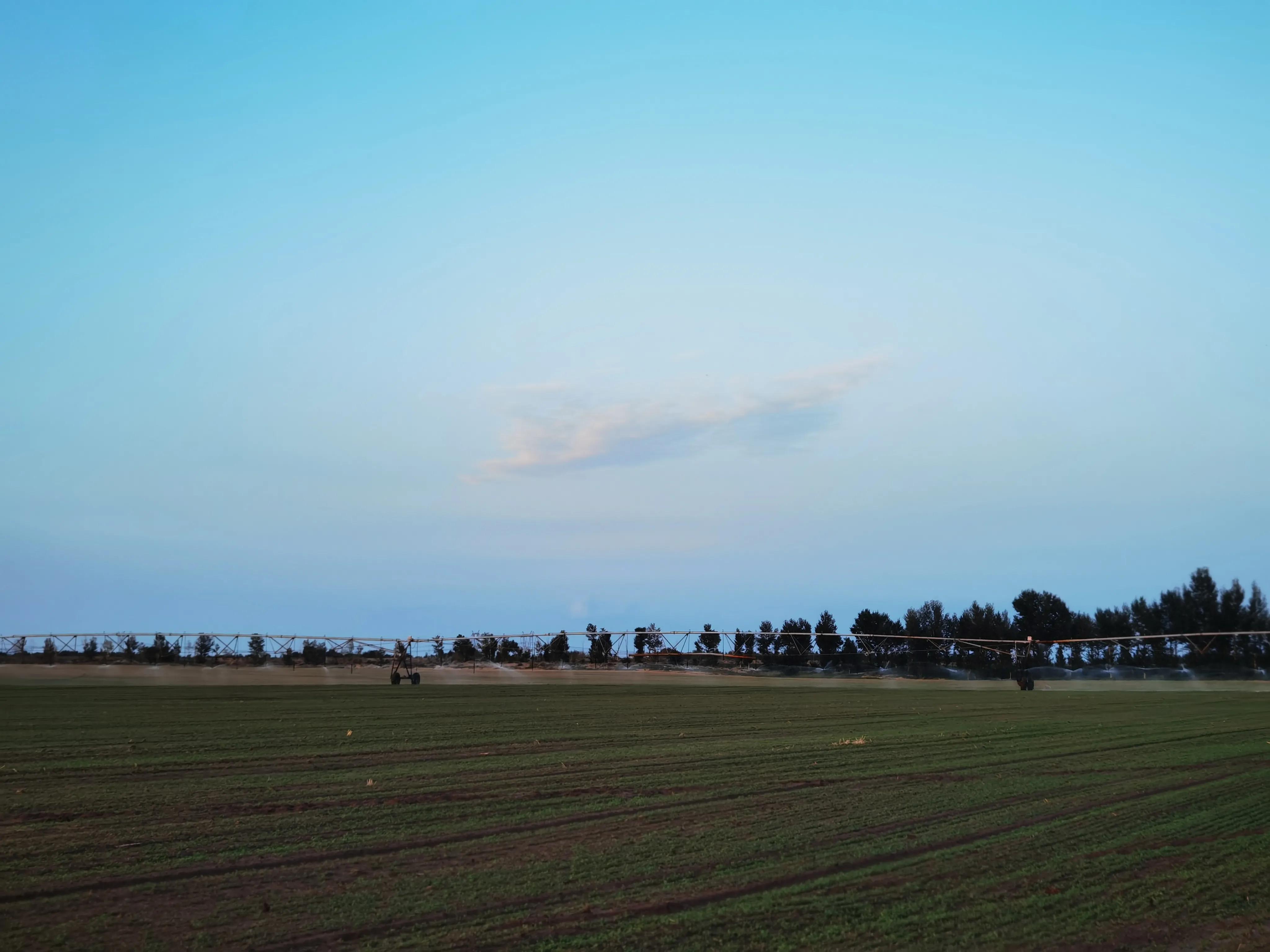 朱元璋讨饭经历,讨饭是个技术活