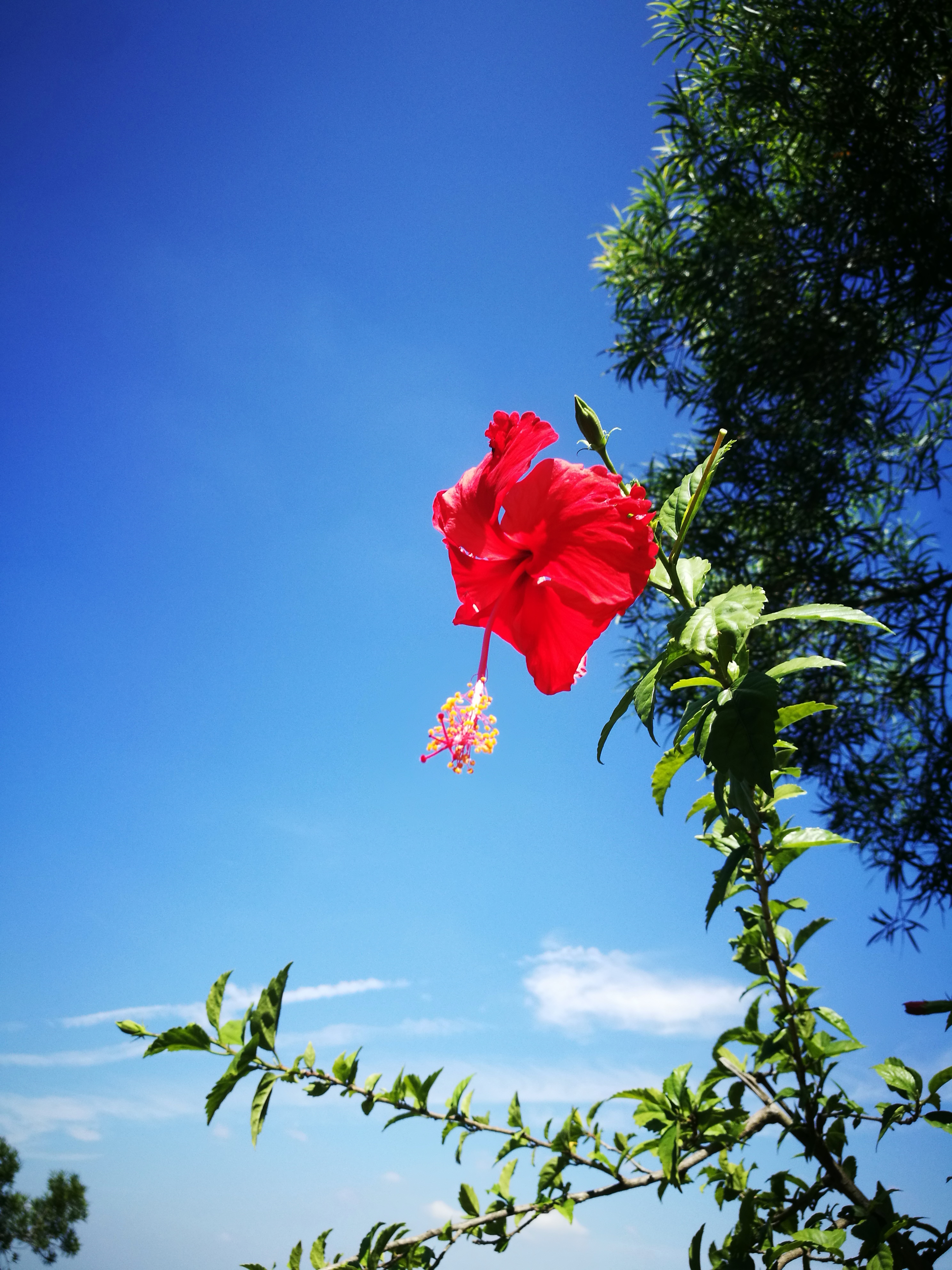 孔明的著作大全,孔明的散文