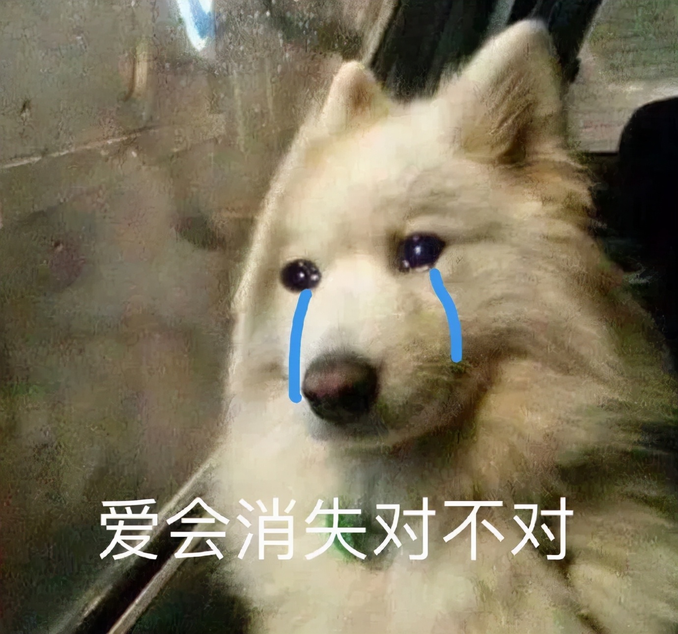 家庭监控下的一幕真实视频完整版,家庭监控下的真实一幕