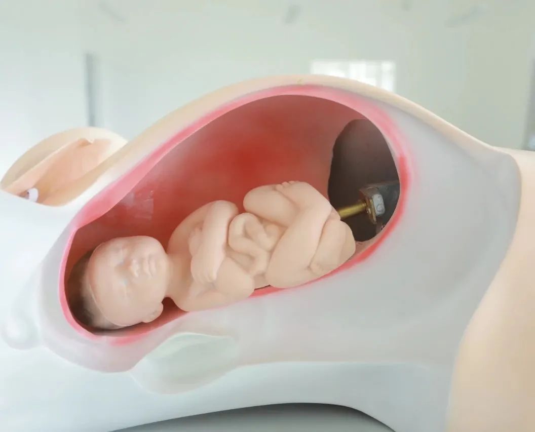 北华大学护理学院简介,河西学院护理学院风采