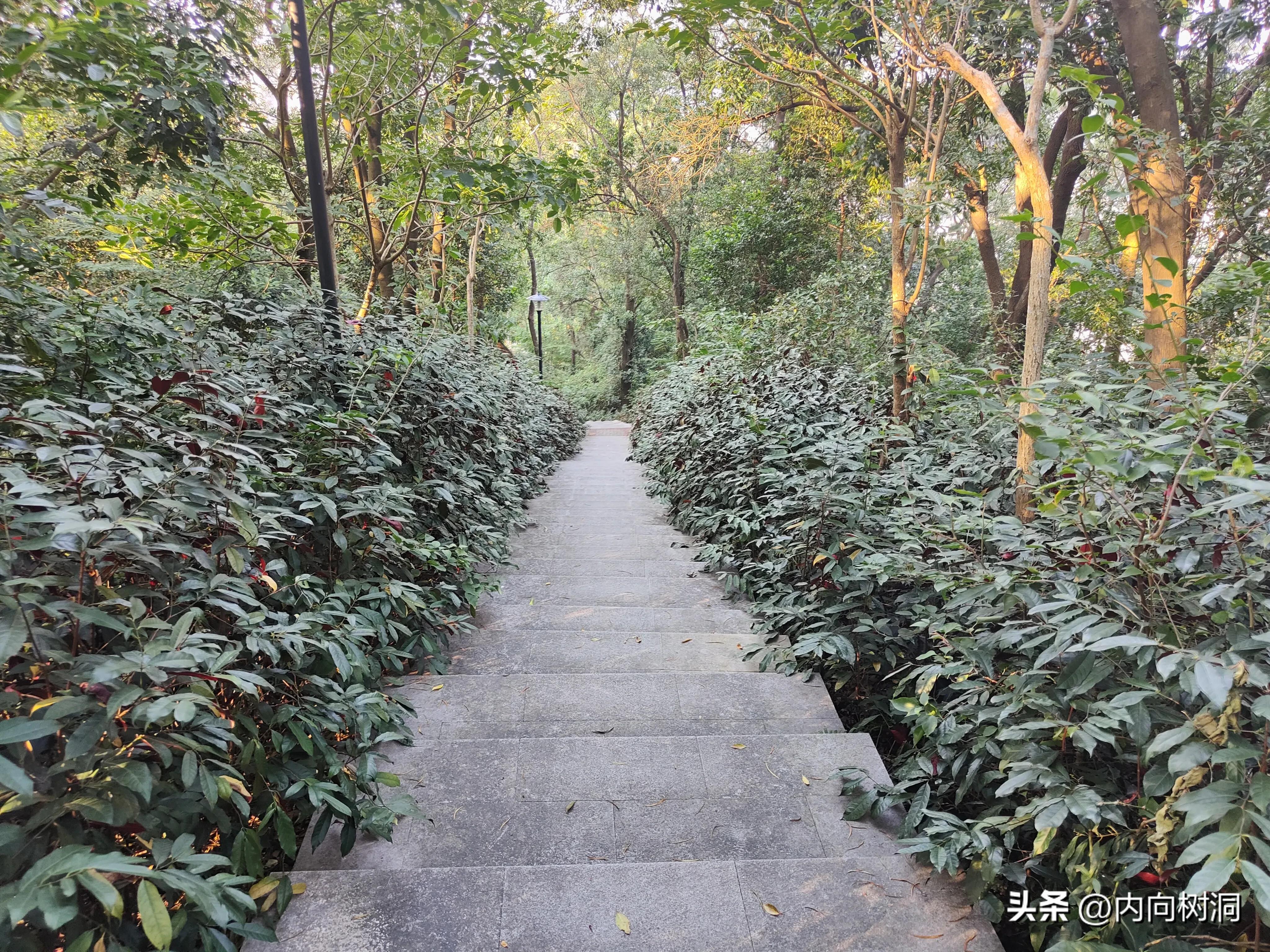 淘金山求水山徒步线路,求水山淘金山绿道在哪里