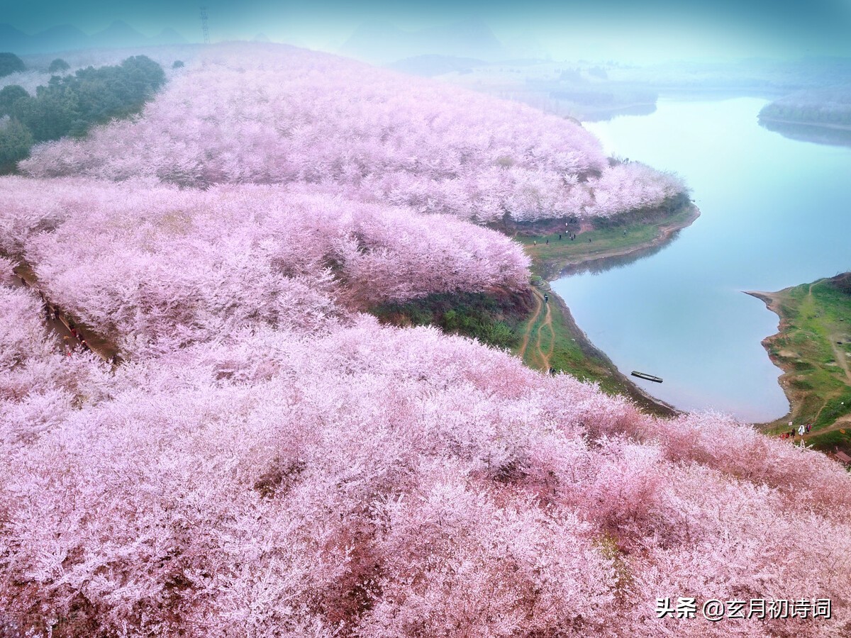 人道*光春**好，我言春堪怜，三*长首**相思诉说春天的情绪