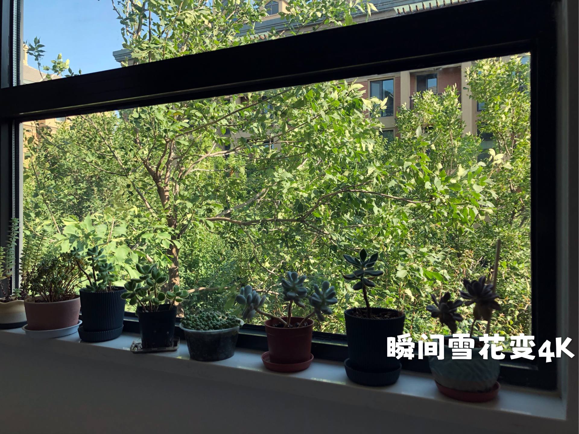 擦窗机器人沉浸式擦窗,擦窗机器人小窗户测评