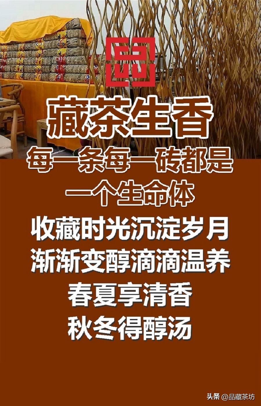 如何储存藏茶,藏茶要怎么藏