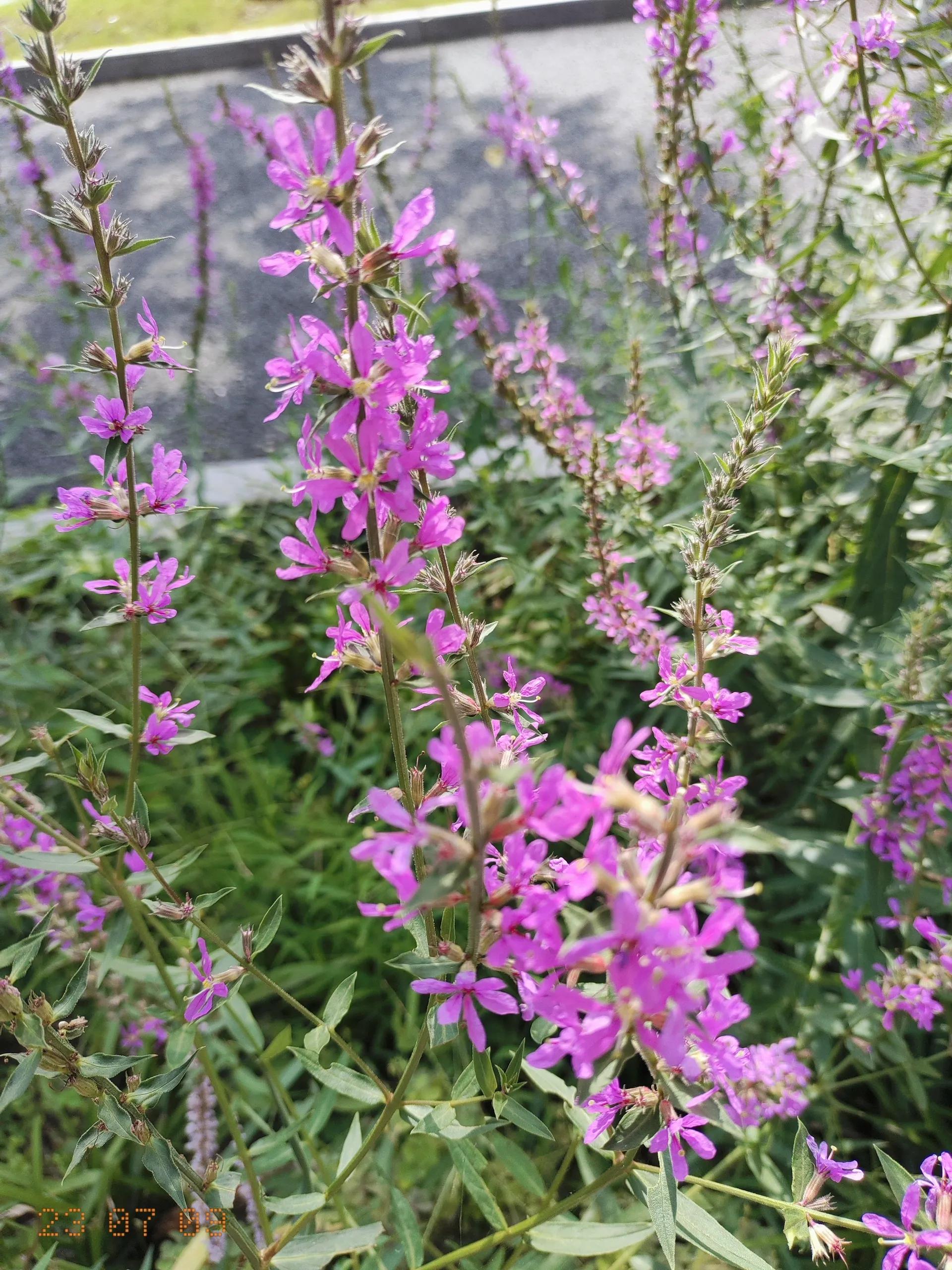 生病了才知道雨伞重要,生病了才知道伞有多重要