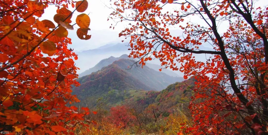广州台山那琴半岛两日游,台山一日游必去景点牛山公园