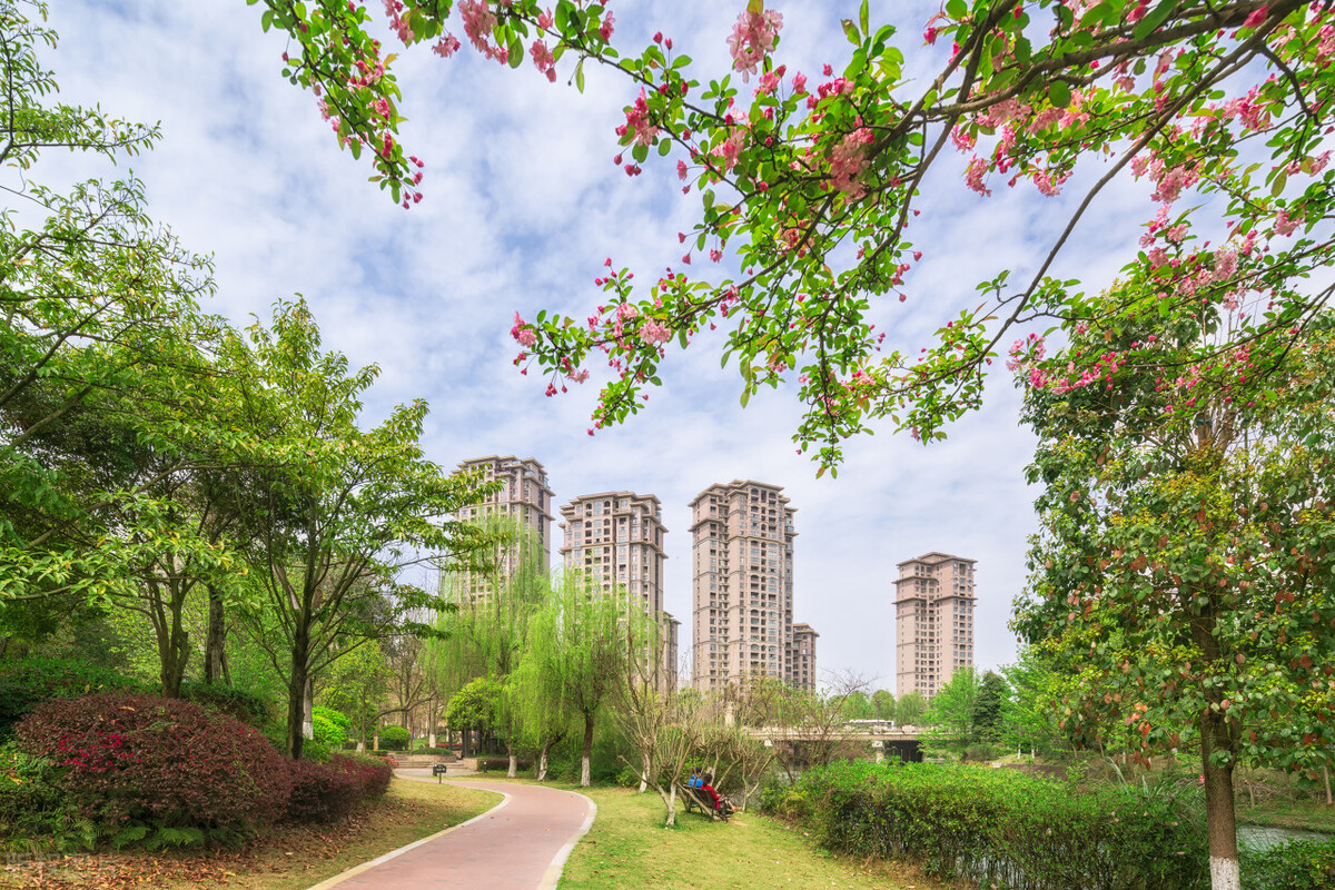 非军事类提前批录取规则详解,提前批未被录取影响其他批次吗