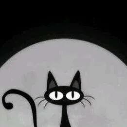 俄罗斯游客逃票打棕熊,俄罗斯两逃票男子把棕熊打成重伤