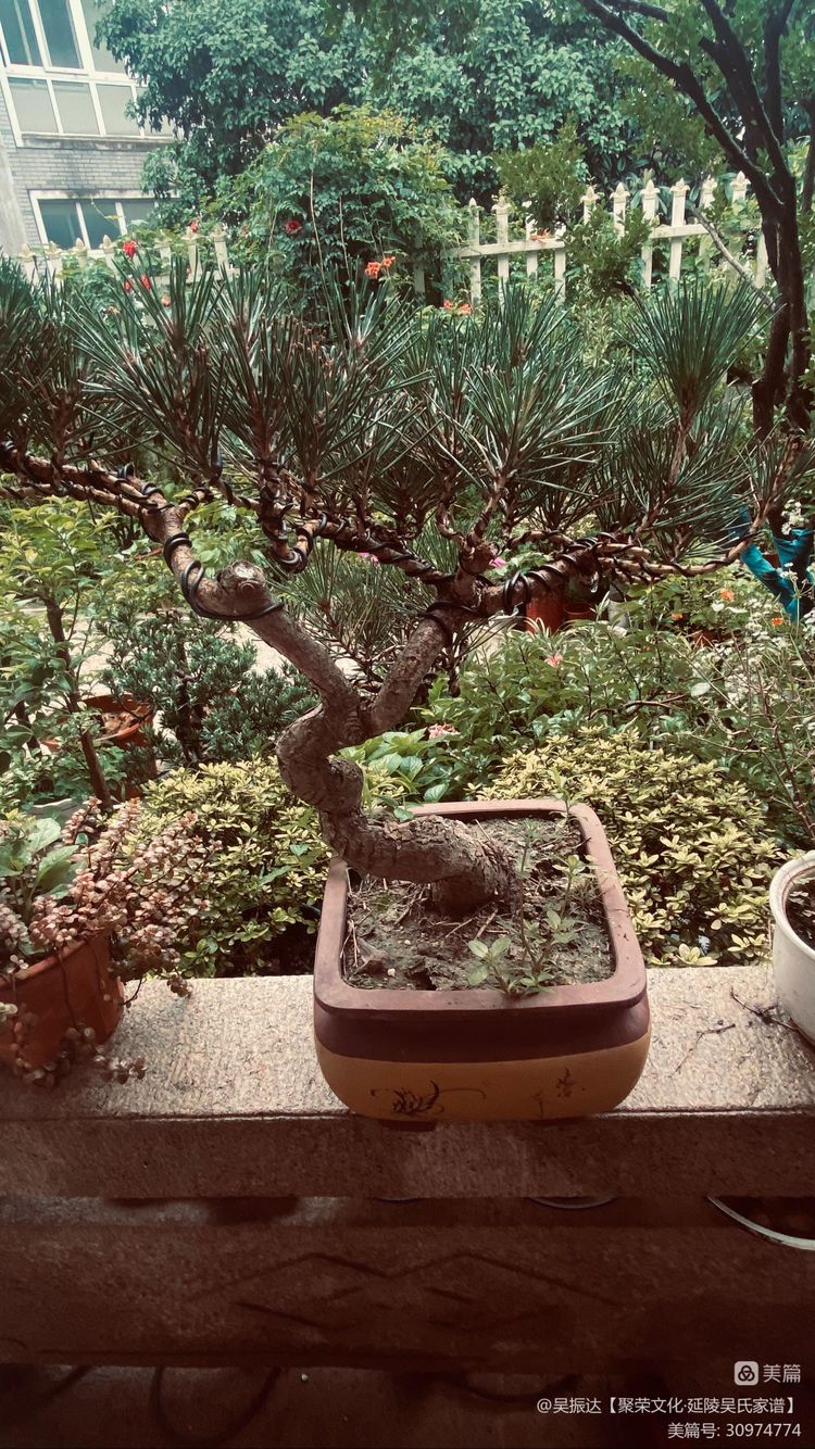 绿色是生命中的最美色彩