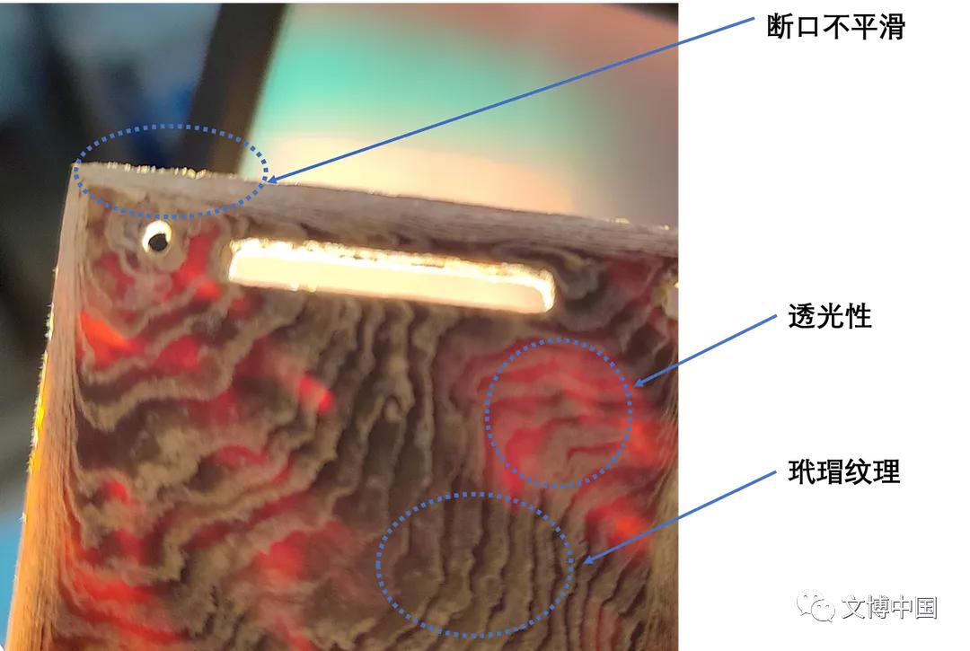 玳瑁出土会有哪些影响,玳瑁现存