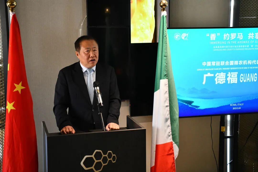 安溪古道铁观音,安溪隽山堂铁观音