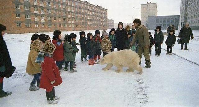 104个真实有趣照片，火箭穿过云层，神奇的手指，野猪的美好生活