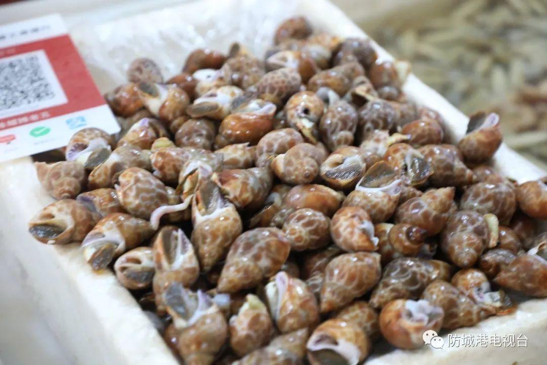 开海了一大波肥美海鲜上岸,开海去哪买海鲜