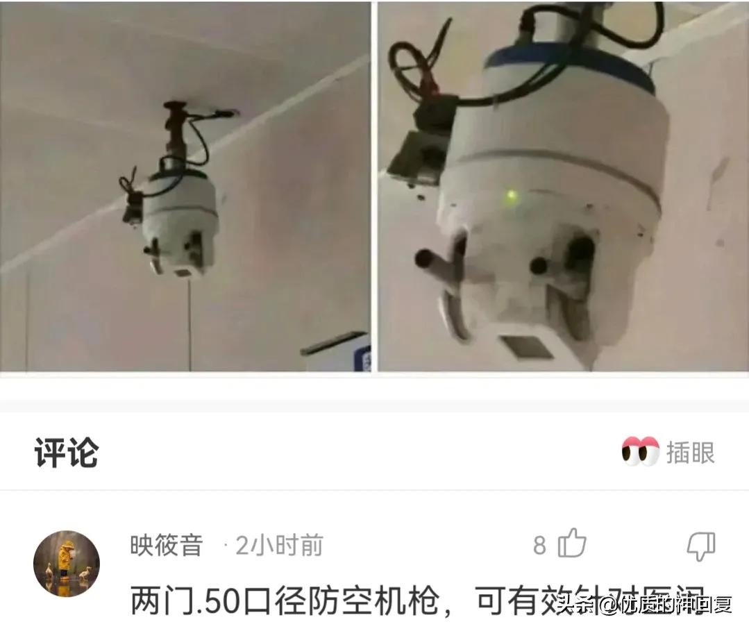 你知道衣服上的字什么意思吗,女生衣服上的字母含义