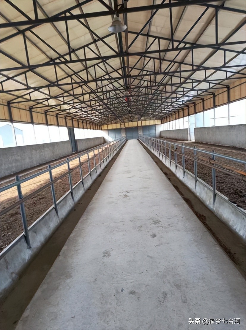 勃利县牧旺牧业有限公司肉牛养殖“畜”势代发