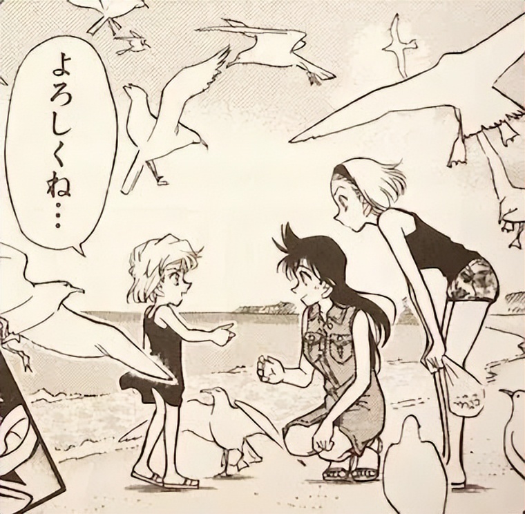 柯哀和新兰哪个人气高,柯哀新兰cp人气排名