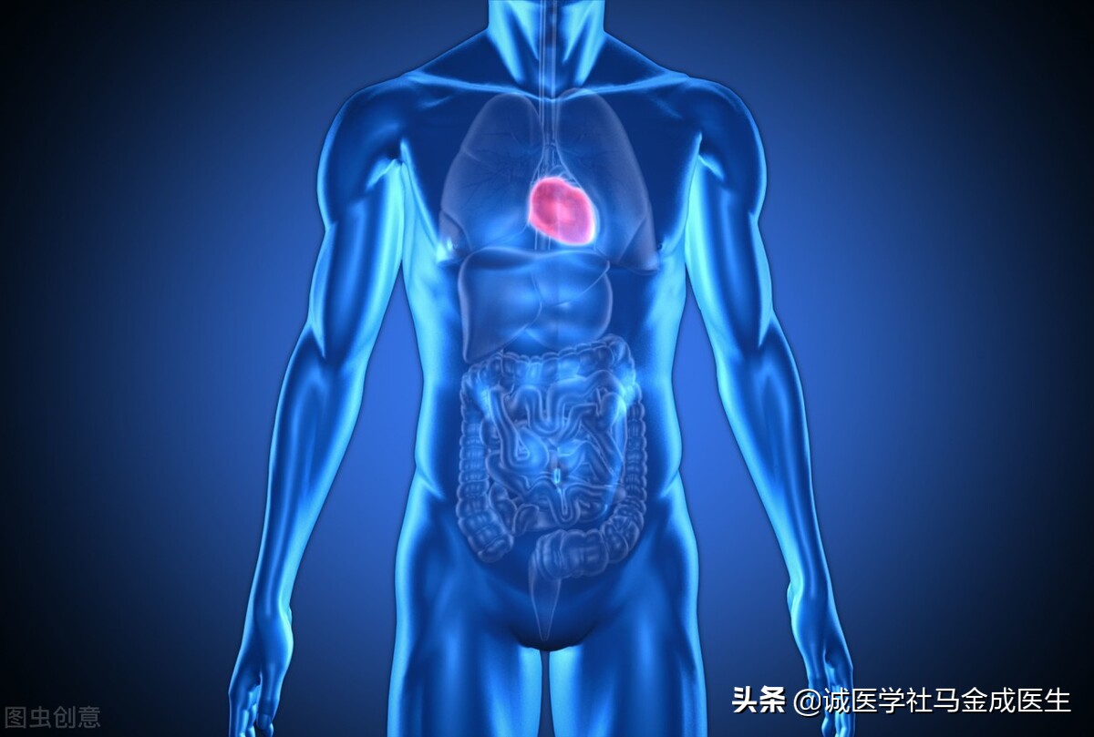 栀子泻三焦,一味栀子清热泻火