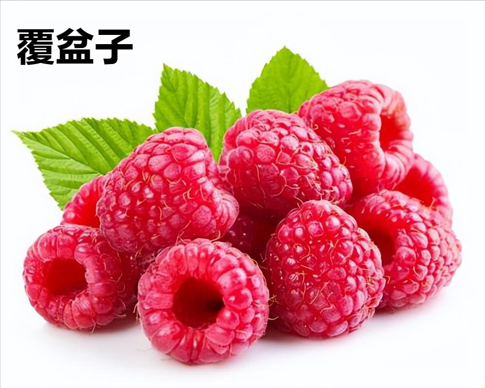 滋阴壮阳益精填髓吃什么中药,中药版西地那非功效与作用