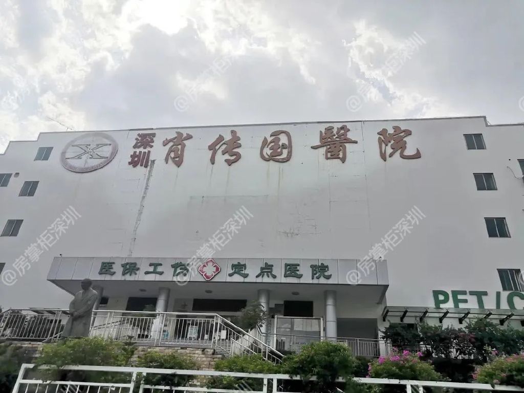 坂田十大学区房,深圳龙岗坂田新盘